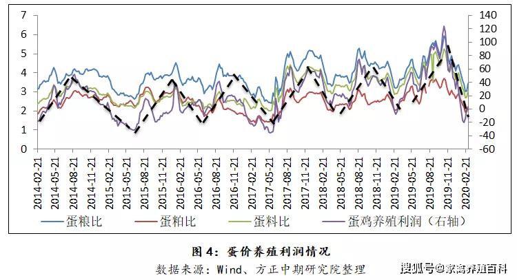 今日土杂猪最新价格，市场波动与影响因素分析