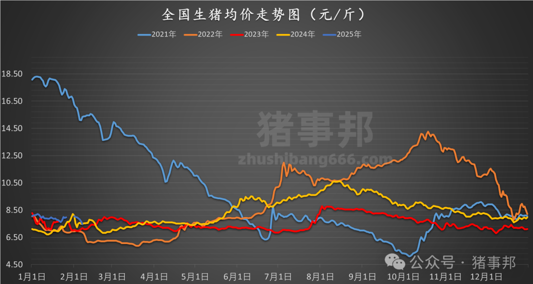 最新全国猪价涨跌表，市场波动背后的原因与趋势分析