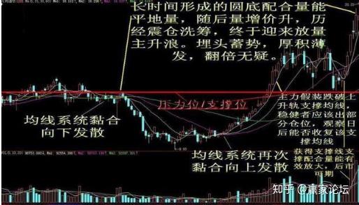 嘉实元和股票最新公告深度解析