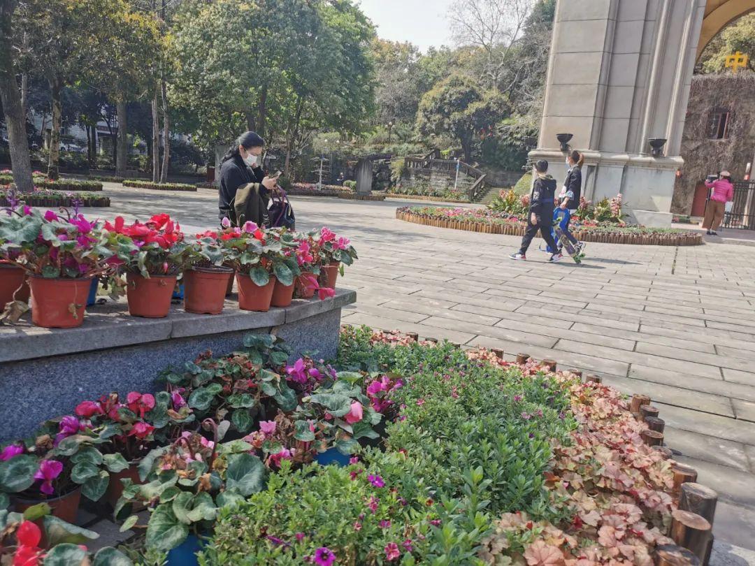 万州天子湖最新情况，生态治理与旅游发展的双赢之路