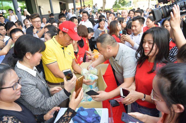 深圳龙华最新招临时工，临时工市场的新机遇与挑战