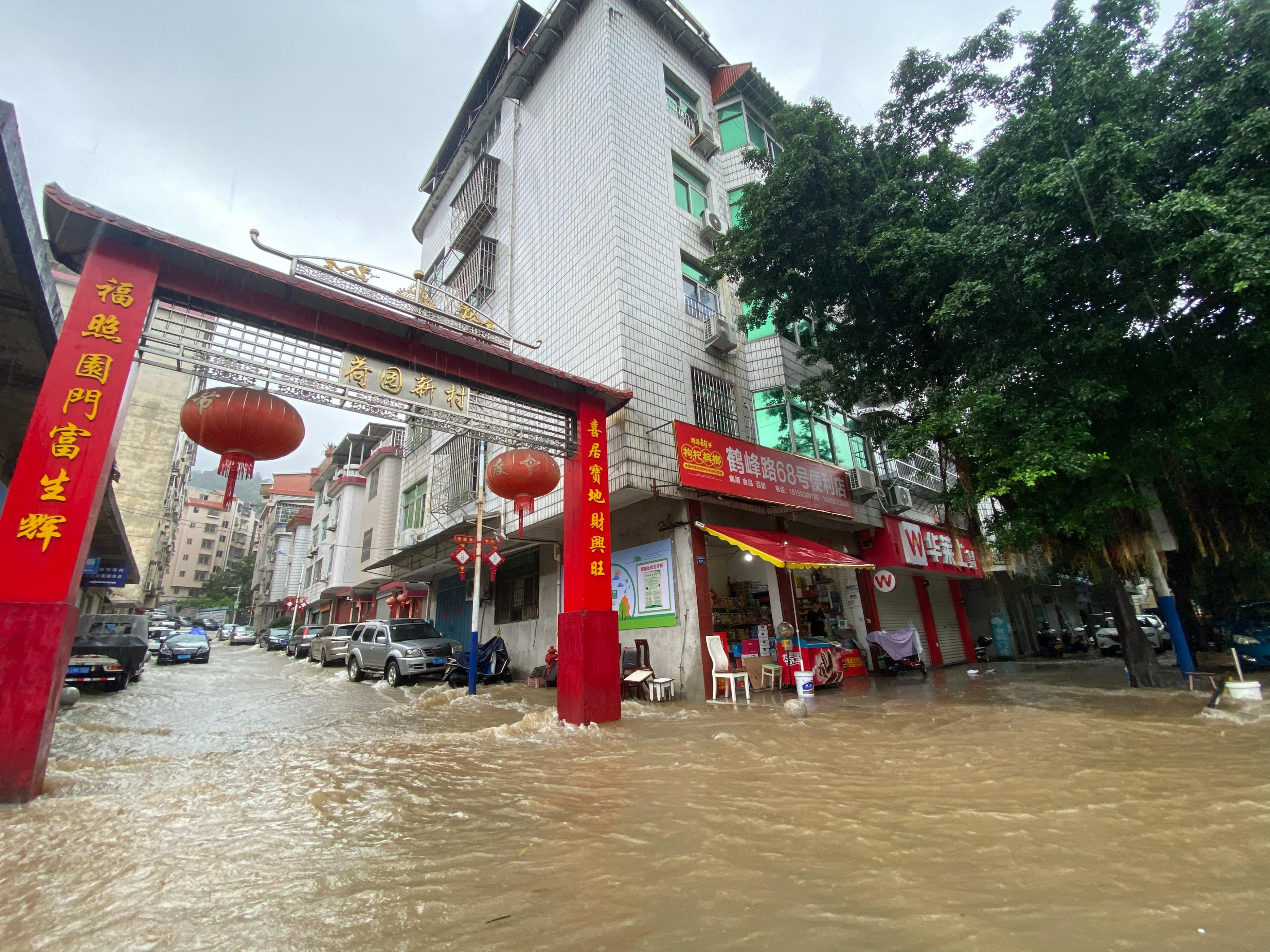 福建今年台风最新消息，风雨中的坚守与应对