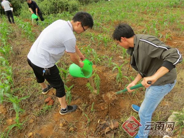 石林板桥最新招工信息，开启职业生涯新篇章