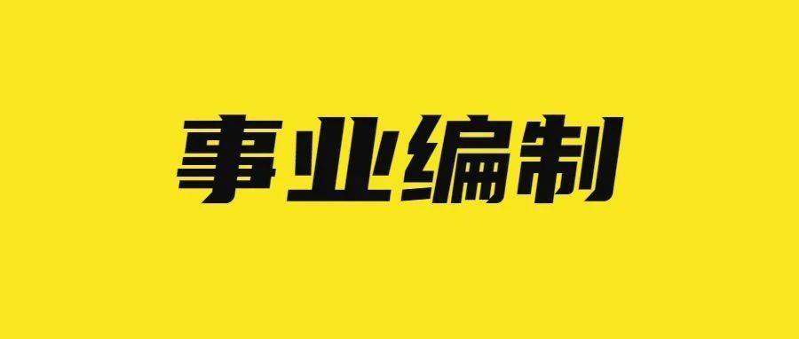 泉港最新招聘信息，探索职业发展的新机遇